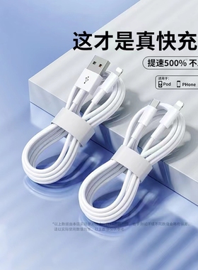 驯龙师 数据线适用于iPhone14苹果13快充11promax手机12充电器7p 6se加长8plus闪充PD20W充电线iPad平板2米XR