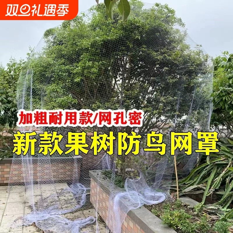 新款果树网罩果树防鳥罩果树网罩樱桃套袋樱桃网套果树
