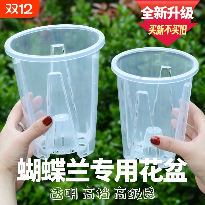 蝴蝶兰专用花盆透明2024升级新款