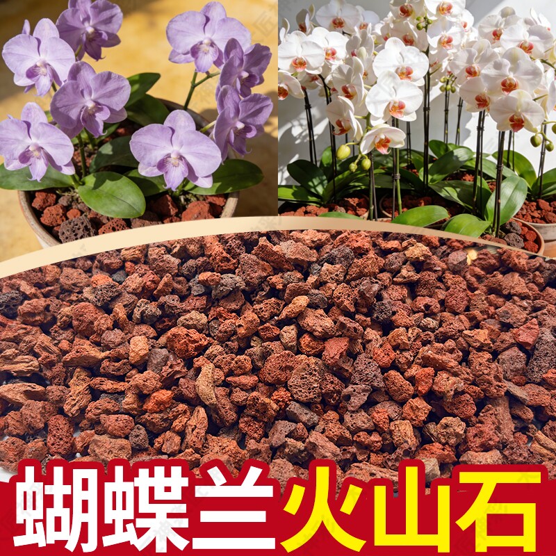 火山石小颗粒养花蝴蝶兰花专用多肉铺面石水培植物铺底鱼缸底砂石