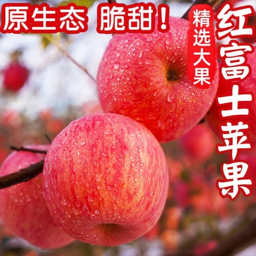 正宗山东红富士脆甜多汁大苹果