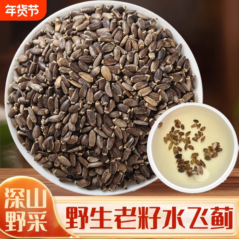 野生水飞蓟中药材水飞蓟种子水飞蓟籽水飞雉奶蓟草籽乳蓟马刺蓟