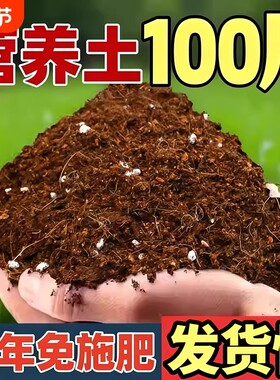 100斤营养土养花专用种植土壤厂家直销土泥土育苗种菜通用型椰砖