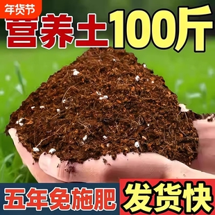营养土养花通用型家用种花专用土土壤种植花土泥炭种菜土育苗椰砖