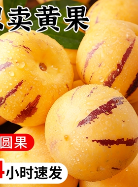 云南人参果水果圆果黄肉大果新鲜石林人叁果树上熟人生果整箱包邮