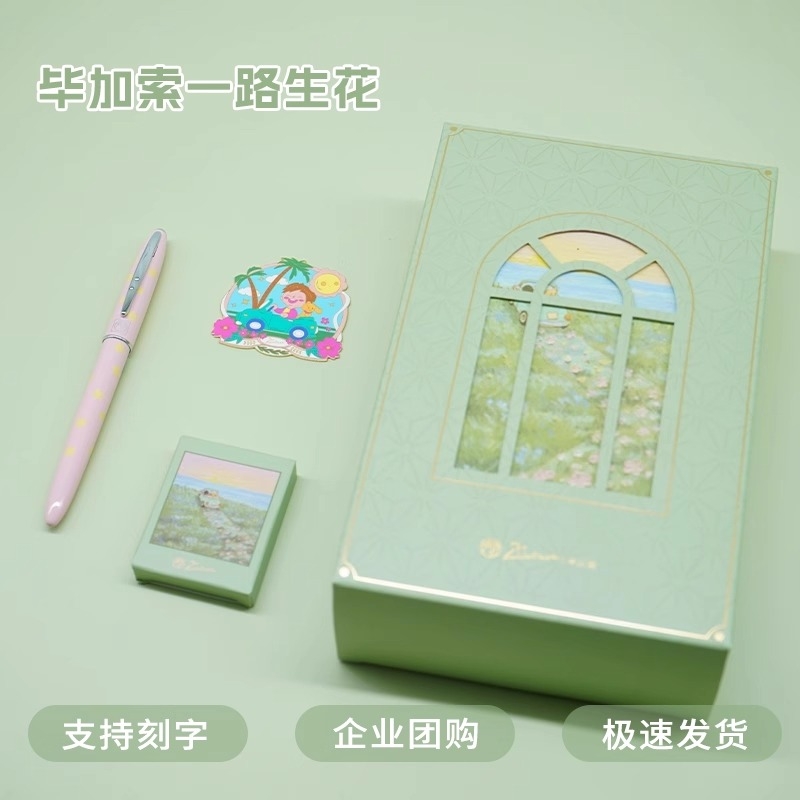 毕加索小清新高颜值套装钢笔