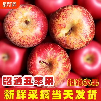 2026年云南昭通丑苹果新鲜昭通市冰糖心富士苹果水果当季整箱