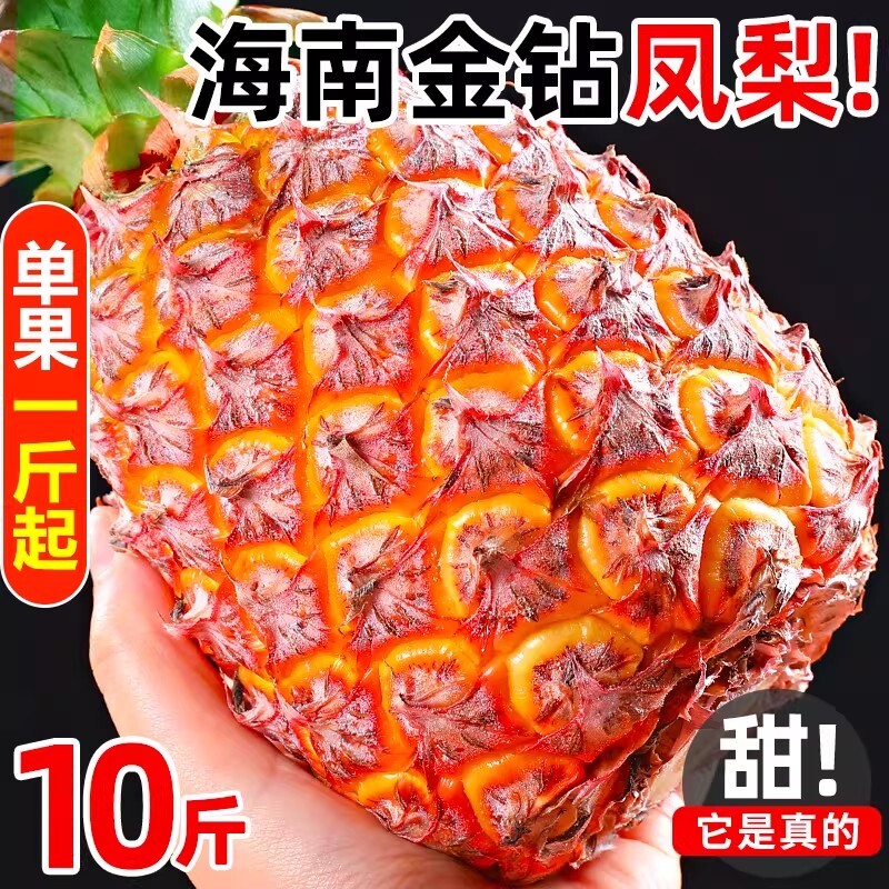海南金钻凤梨新鲜水果树上熟芒果凤梨香水菠萝大果无眼整箱包邮