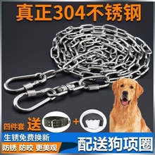 304不锈钢狗链栓狗链子小型犬铁链项圈狗绳狗链条锁扣遛狗大型犬