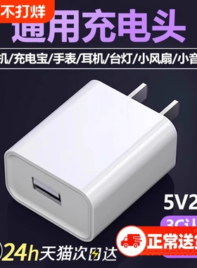通用5V2A充电器USB插口适用快充智能快充双口插口配线套装带线6A不分正反小巧便携
