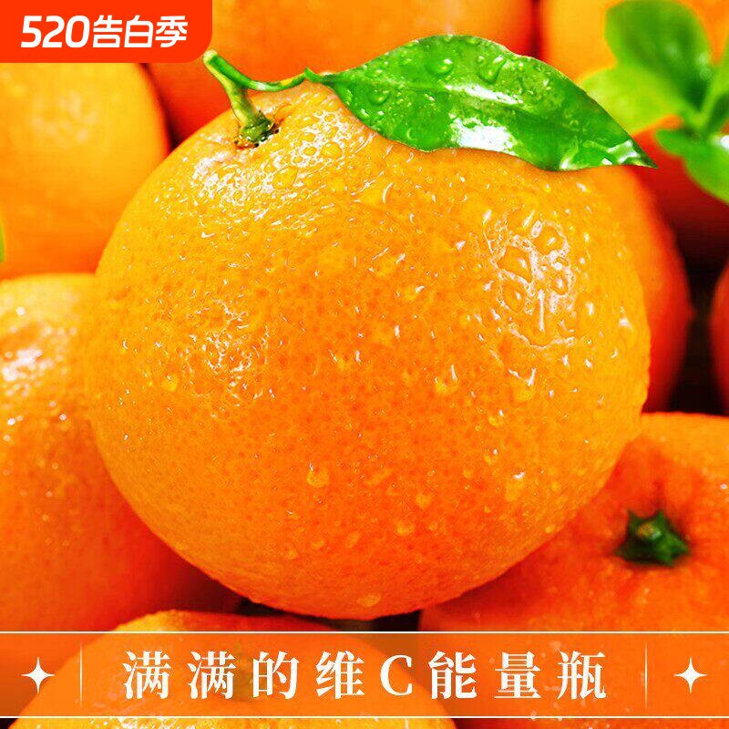 四川正宗青见果冻橙子香甜当季新鲜水果应季包邮8斤源头告白粉丝