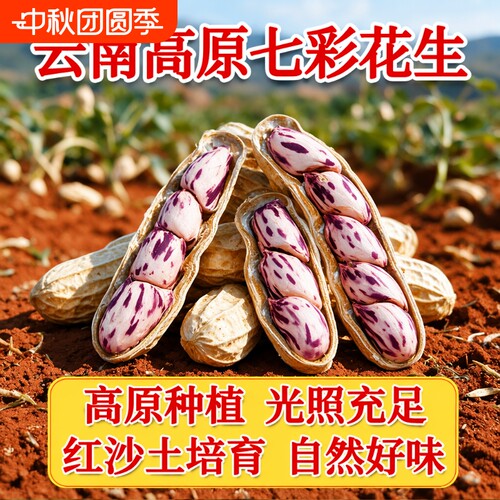 云南七彩花生新鲜带壳原味炒熟新货五彩水果大粒果仁健康特色晒干