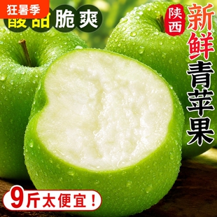 现摘青苹果新鲜水果当季孕妇酸脆甜陕西绿萍果富士整箱9批发包邮
