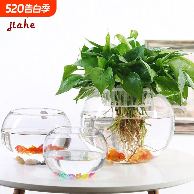 大号玻璃水培植物花盆办公室桌面水养绿箩铜钱草花瓶圆形透明鱼缸