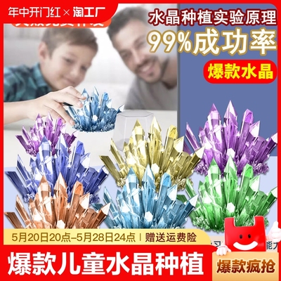 儿童节礼物种植水晶实验益智玩具