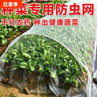 防虫网种菜专用拱棚支架菜园农用加厚纱网尼龙网80目大棚蔬菜玻璃