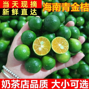海南特产青金桔柠檬小青柠新鲜水果火锅蘸料调百香果青桔现摘清香