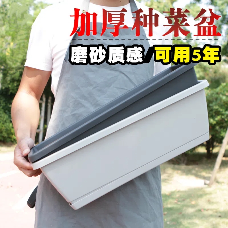 塑料简约阳台种菜花盆