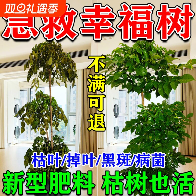 幸福树专用肥料营养液急救叶子干枯落叶掉叶子发黄烂根盆栽肥料L