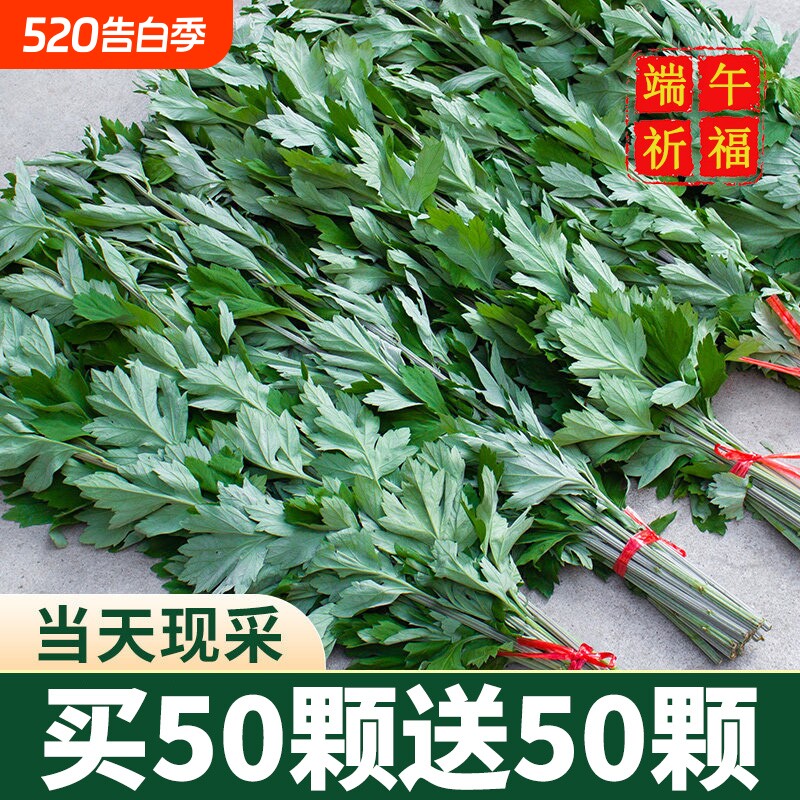 新鲜艾草整棵带杆挂门上家用非驱蚊干艾蒿鲜艾端午节艾叶花束门挂