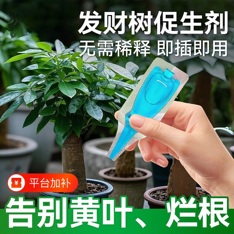 发财树促生剂植物再生剂通文昌富贵竹盆栽绿植花卉懒人家用无机肥