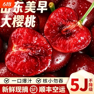 山东烟台  现摘现发甜蜜多汁美早樱桃车厘子顺丰空运露天凉地新鲜