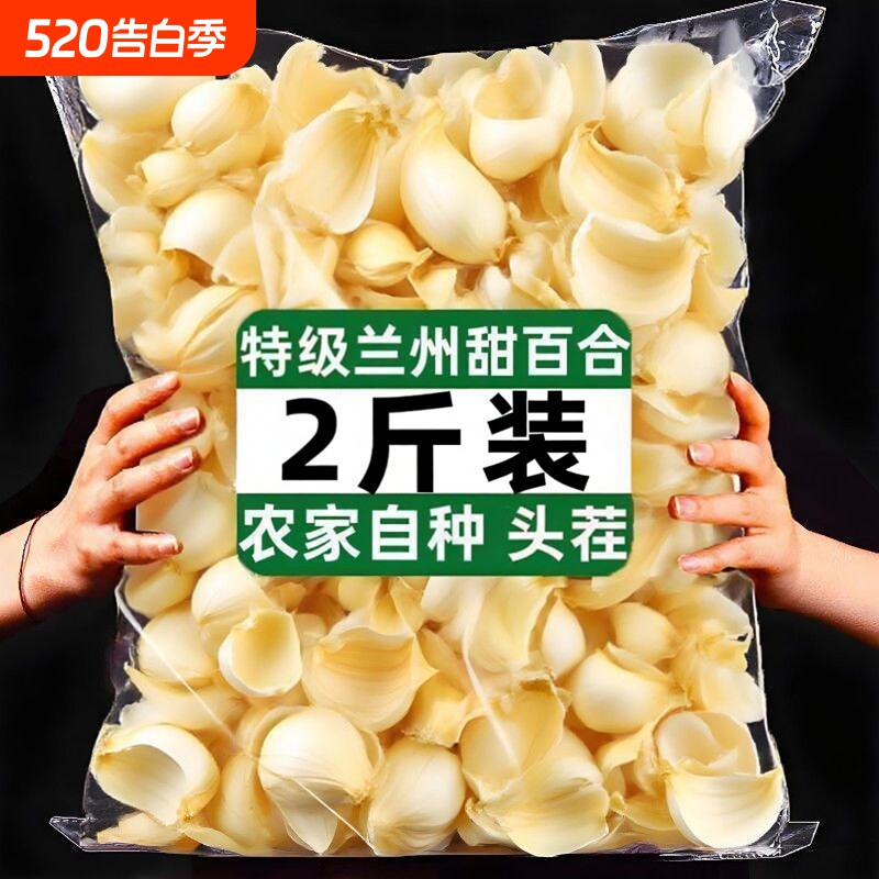 出口品质】正宗甘肃兰州百合干500g花片百合干黄芪特产干货无熏硫