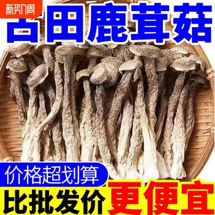 新鲜鹿茸菇干货古田特产菌子山珍鹿茸菌云南特产蘑菇食材年货新货