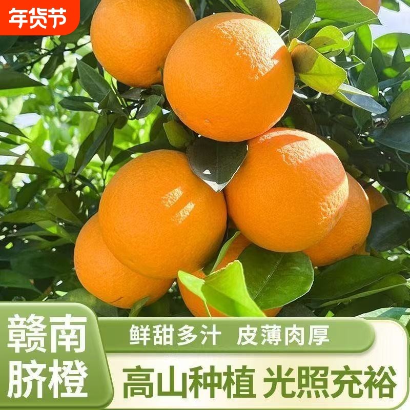 江西正宗赣南脐橙直发甜蜜多汁橙子儿童孕妇水果甜橙皮薄年货节
