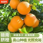 江西正宗赣南脐橙现采直发甜蜜多汁橙子儿童孕妇新鲜水果甜橙皮薄