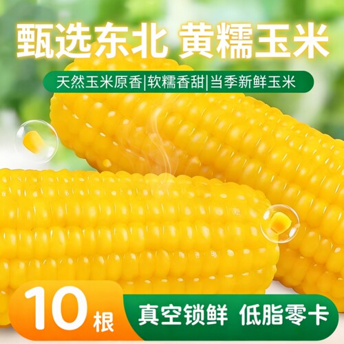黄糯玉米新货真空装甜糯代餐