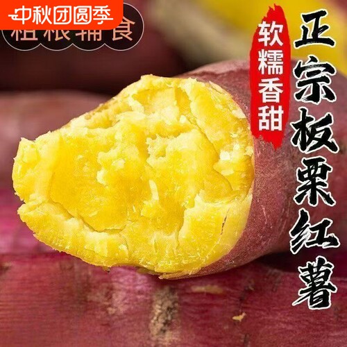 板栗红薯正宗粉糯香甜黄心现挖新鲜番薯无筋地瓜当季农家蜜薯软糯