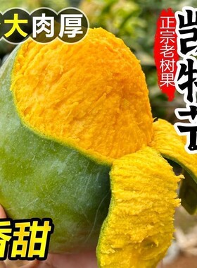 四川攀枝花凯特芒果当季新鲜水果现摘超甜彩虹芒大青吉禄芒果整箱