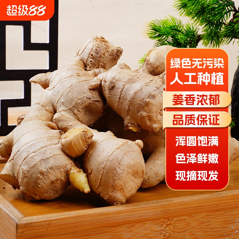 生姜老姜山东大姜10斤风干黄姜月子姜风干姜块新鲜食用蔬菜母图片