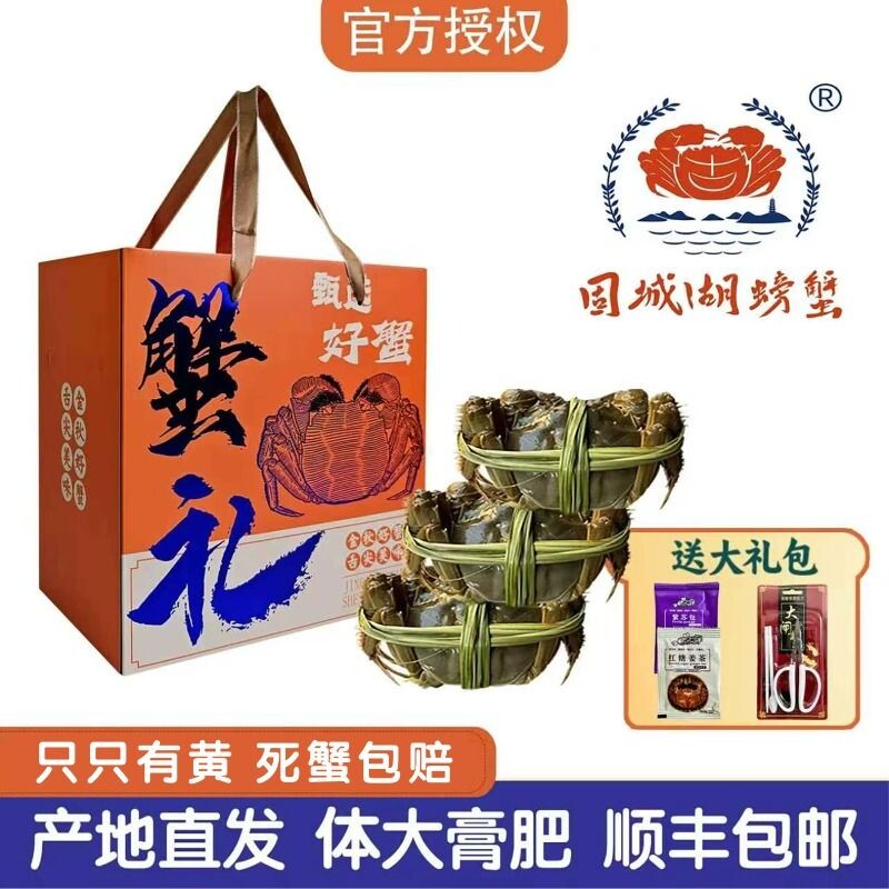 江苏大闸蟹螃蟹鲜活礼盒活蟹精品公母蟹现货海鲜水产顺丰次日