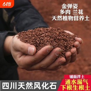 纯天然酸性盆景风化土专用小叶簕竹金弹子老鸦柿盆栽透气兰花多肉
