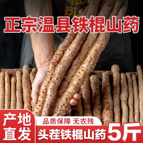 正宗温县垆土铁棍|超4000次加购