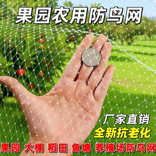 果树防鸟网用网葡萄杨梅树防护网尼龙防鸟鸽子麻雀网小鸟樱桃果园