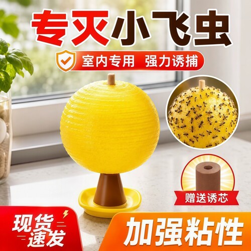 果蝇小飞虫诱捕器粘虫球灭杀神器室内去除厨房蚊虫诱苍蝇蚊子家用