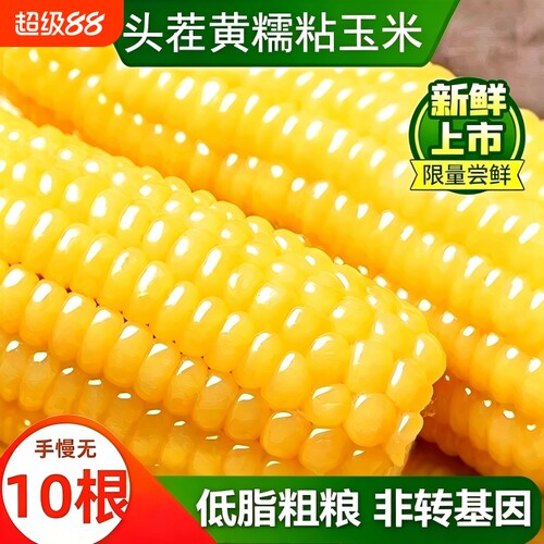 产地直发真空装东北黄糯玉米