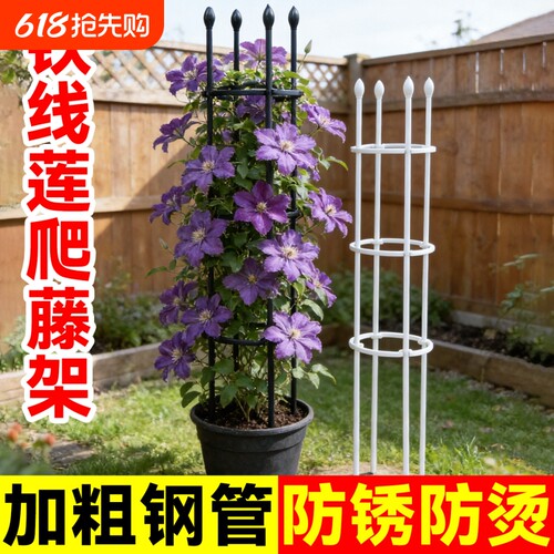 铁线莲爬藤架花架支撑杆