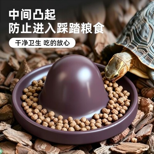 乌龟爬宠喂食器防踩踏食遮阳防晒黄缘陆龟半水龟食盆水盆造景新款