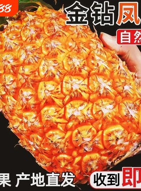 海南金钻凤梨新鲜水果树上熟当季整箱手撕香水菠萝大果热带西瓜