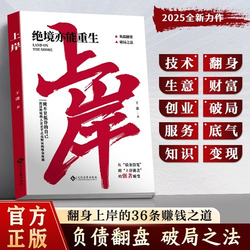 上岸正版赚钱有大招解锁普通人秘诀突破认知副业变现负债翻盘书漫画图解有招如何走向财富自由之路带你掌握之道发展债务知识法则