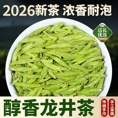 新茶龙井茶叶明前2026浓香型绿茶
