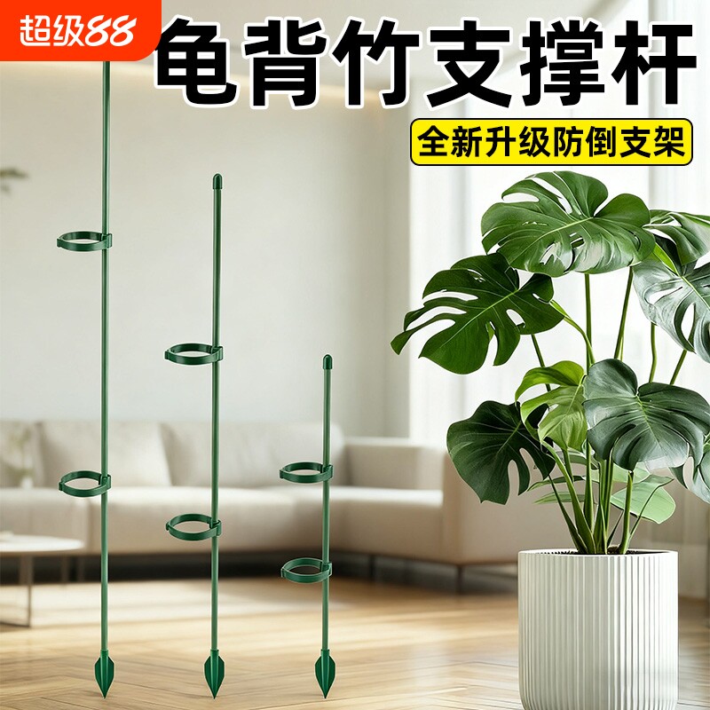 龟背竹防倒伏专用支撑杆图片