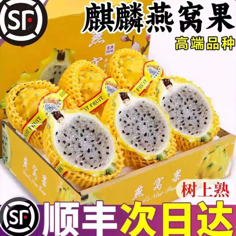 【顺丰京东】海南麒麟燕窝果整箱新鲜热带水果黄色火龙果当季孕妇