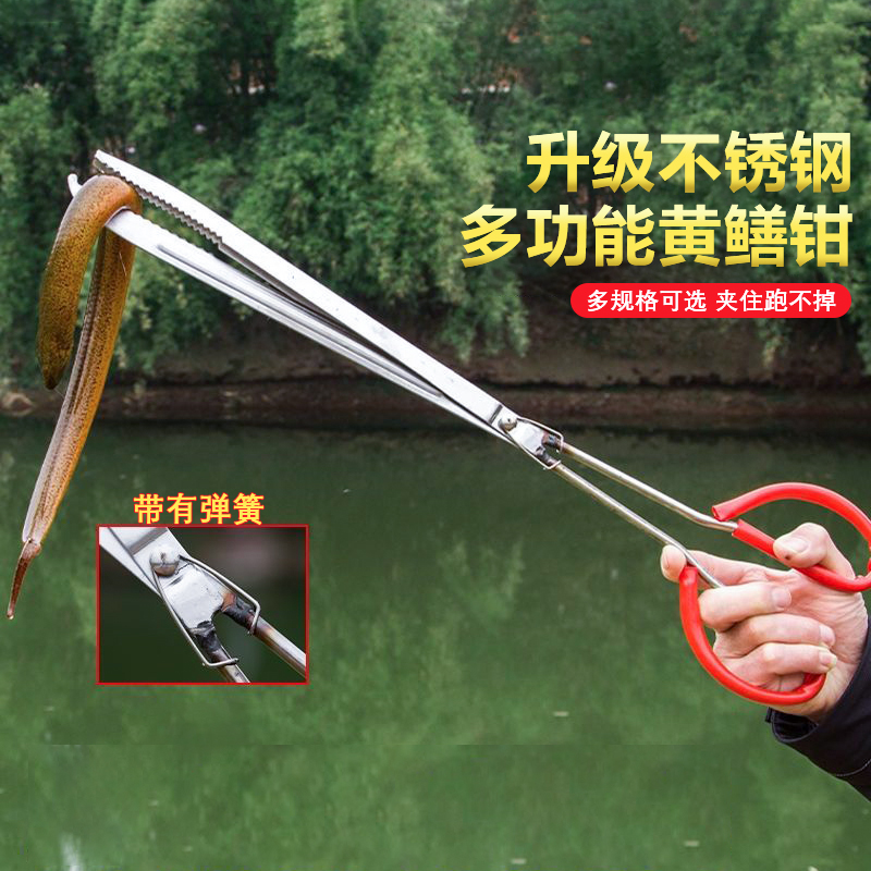 不锈钢黄鳝夹子鳝鱼夹火钳垃圾夹泥鳅螃蟹钳子防滑抓龙虾赶海工具