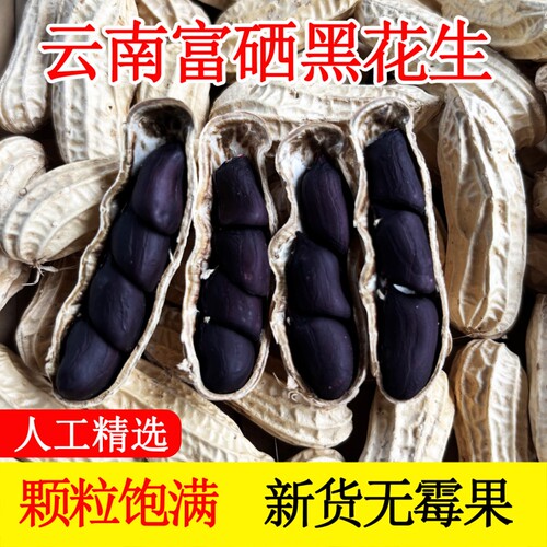 云南富硒黑花生带壳小粒原味甜黑皮种籽特产2025新货花生晒干健康