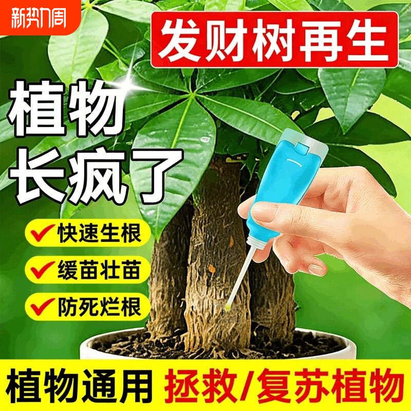 发财树再生剂专用营养液黄叶枯叶烂根专用盆栽植物再生复活液肥料